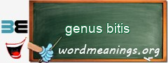 WordMeaning blackboard for genus bitis